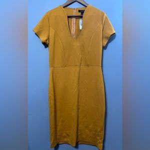 Ashley Stewart Mustard Dress